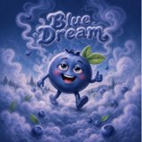 Saltwater Breeze cover art