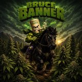 Bruce Banner cover art