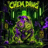 Bringin That Funk To You cover art